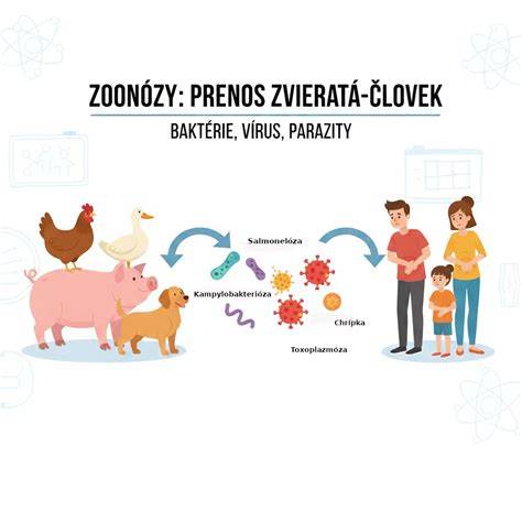 grafika znázorňujúca prenos údajov PN elektronicky