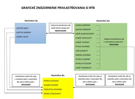 grafické znázornenie lehoty 5 rokov