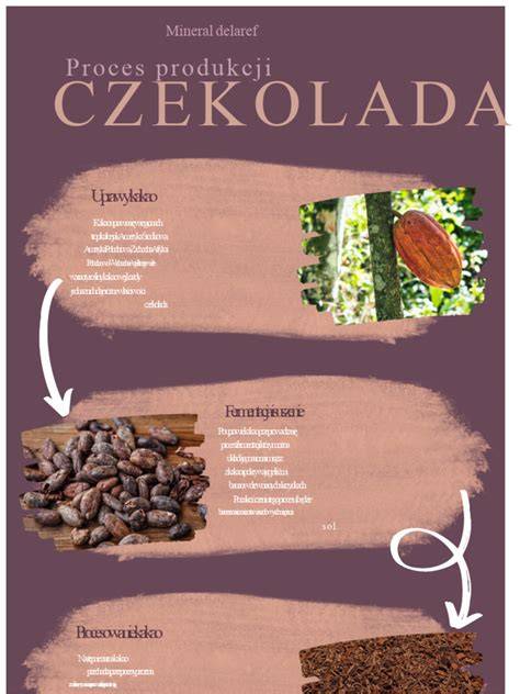 infografika: proces opráv a ročného zúčtovania